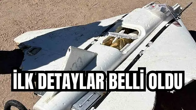 Sahile vurmuştu