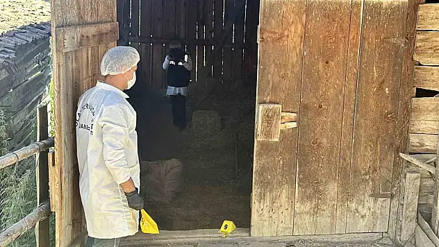 Samanlıkta işlenen cinayetle ilgili yargılama devam etti