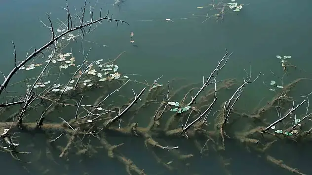 Sanatsal üretim projesine AB'den destek