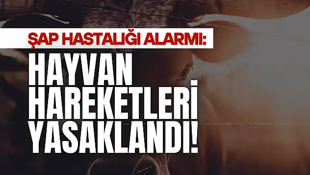 Şap Hastalığı Alarmı!