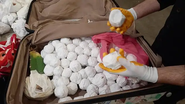 Sarp Sınır Kapısı'nda 2 bin 850 adet kaktüs ele geçirildi