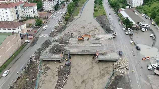Sel felaketleri sadece insanları değil, balık popülasyonunu da etkiliyor