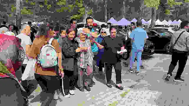 Şenlikte ağaçtan düşen dal yaşlı kadını yaraladı