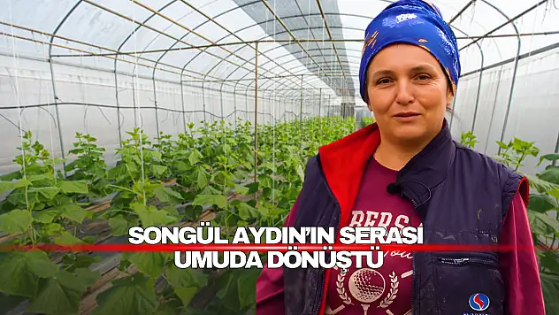 Serası Umuda Dönüştü!