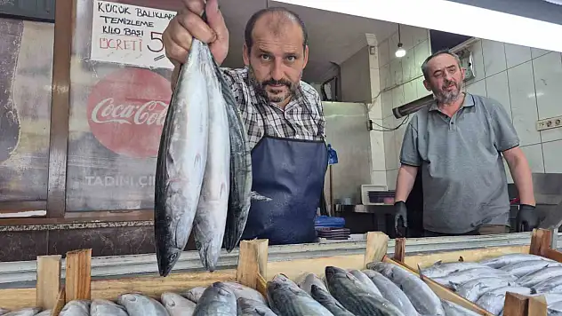 Sezonun gözdesi palamut ve hamsi tezgahları şenlendirdi