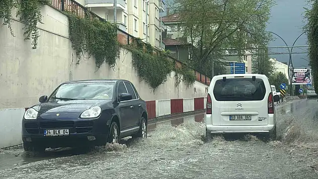 Şiddetli dolu etrafı beyaza bürüdü