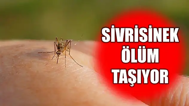 Uzmanından uyarı