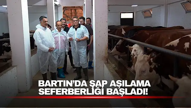 Sonbahar Şap Aşılama Kampanyası Başladı: