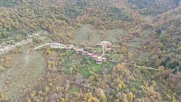 Sonbahara bürünen ormanlar ve 'çam kokulu' evler mest ediyor