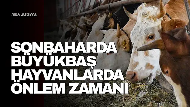 Sonbaharda Büyükbaş Hayvanlarda Önlem Zamanı