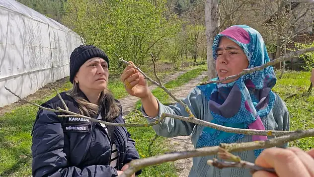 Tarım alanlarında