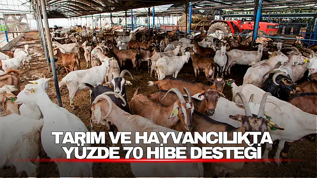 Tarım ve Hayvancılıkta Yüzde 70 Hibe Desteği