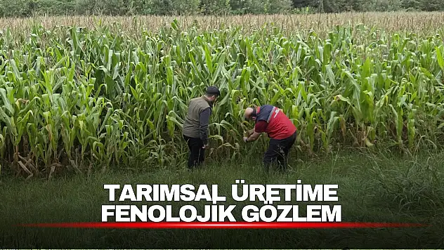 Tarımsal Üretim Fenolojik Gözlemlerle Takip Ediliyor