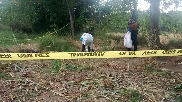 Tarlada bulunan kafatası ve kemikler jandarmayı harekete geçirdi