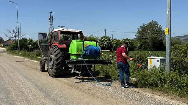 Taşköprü Belediyesi'nin haşereyle mücadele çalışmaları başladı