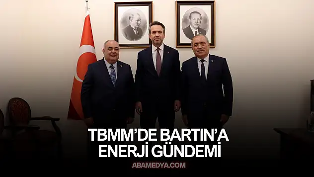 TBMM'de Bartın'a Enerji Gündemi
