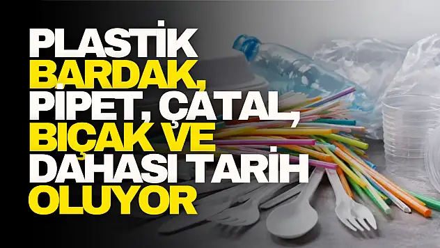 Tek Kullanımlık Plastikte Tarihi Karar