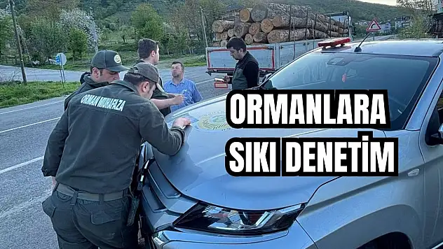Tek tek durduruldular