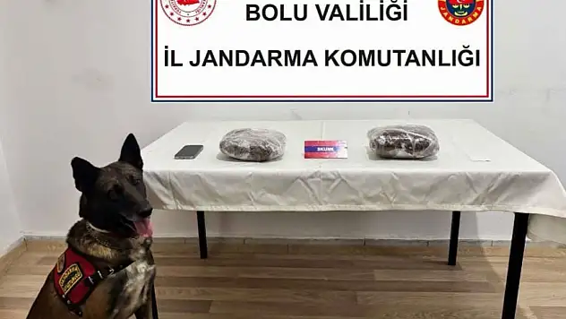 TEM'de yolcu otobüsünde 810 gram esrar ele geçirildi 1 tutuklama