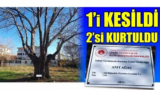 Tescil tabelaları yerleştirildi...