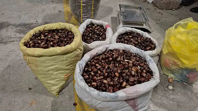 Tescilli lezzet pazara indi: Düzce'nin coğrafi işaretli