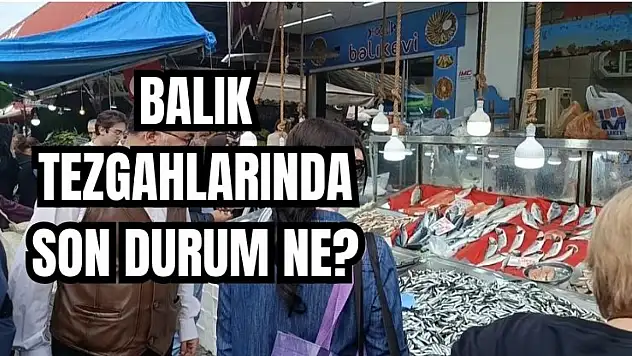 Tezgaha palamut darbesi