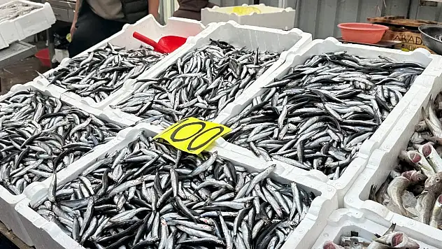 Tezgahta 100 liraya düşen hamsi yoğun ilgi gördü