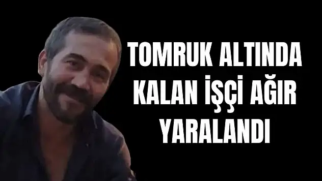 Tomruk altında kalan işçi ağır yaralandı