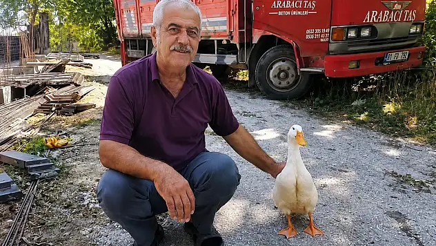Torunların hevesi geçti, dedenin en yakın dostu oldu