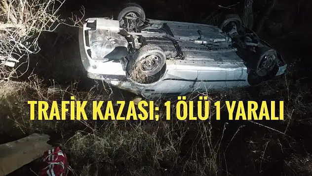 Trafik kazası 1 ölü, 1 yaralı