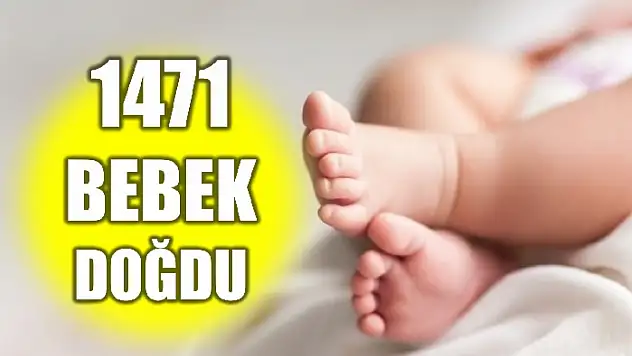 TÜİK açıkladı