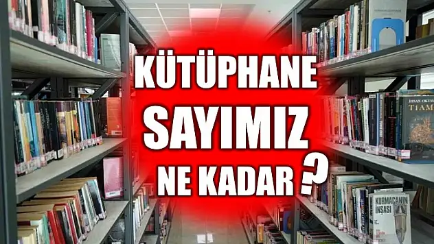 TÜİK açıkladı