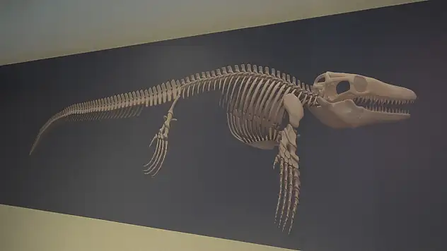 Türk profesör, Asya'da ilk kez keşfedilen