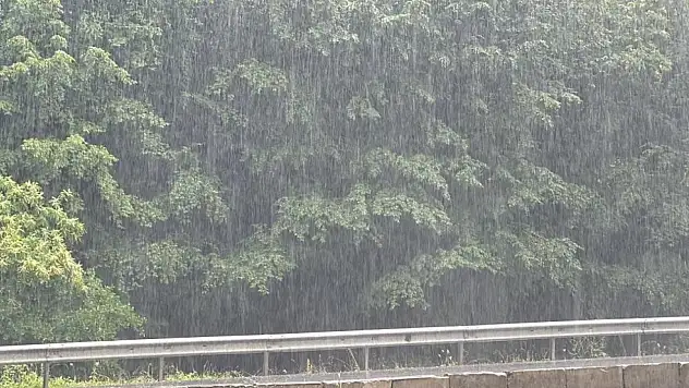 Türkiye'de en çok yağışın düştüğü il Düzce oldu