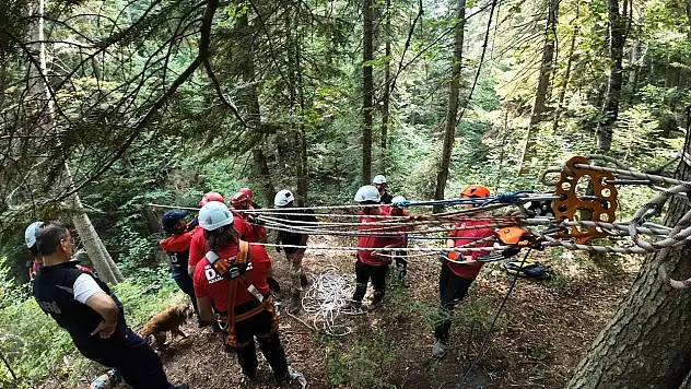 Uçurumdan yaralıyı kurtardılar