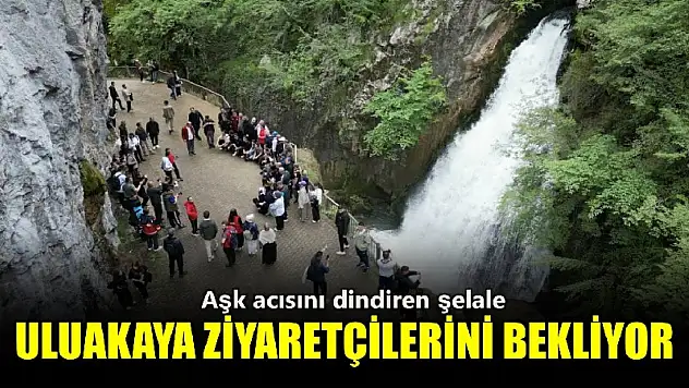 Ulukaya ziyaretçilerini bekliyor