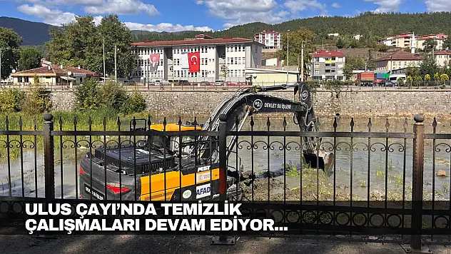 Ulus Çayında Temizlik!