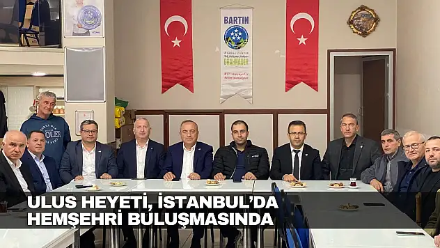 Ulus Heyetİ, İstanbul'da