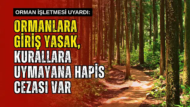 Ulus Orman İşletmesi Uyardı