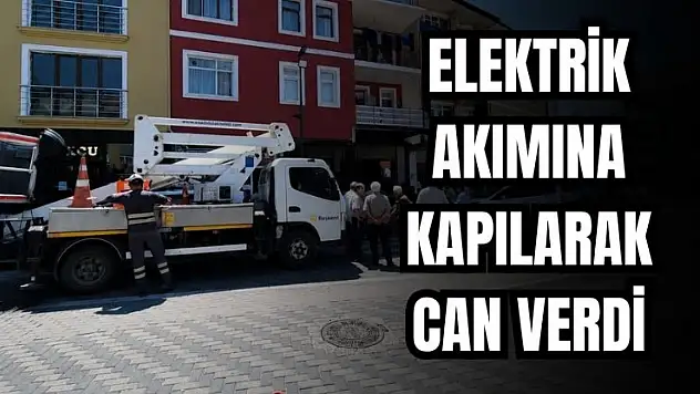 Ulus'ta acı olay