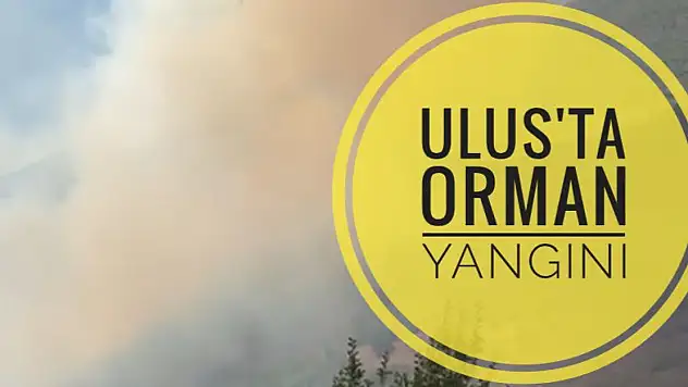 Ulus'ta büyük yangın