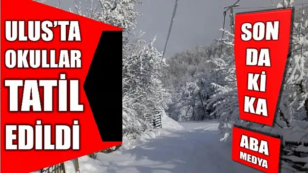 Ulus'ta okullar tatil edildi