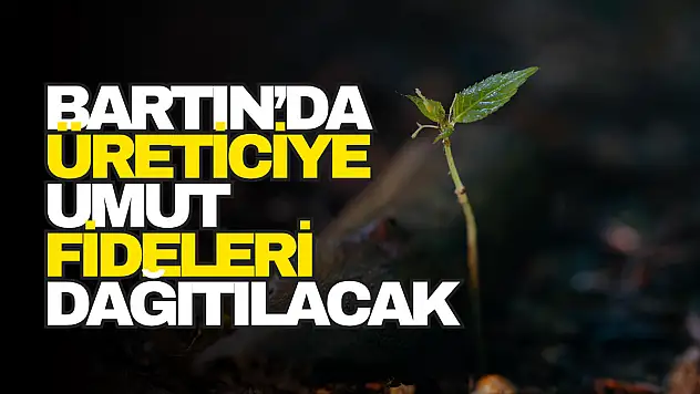 Umut Fideleri Dağıtılacak
