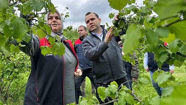 Üreticinin kayıpları tespit ediliyor