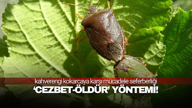 Üreticiye destek geliyor