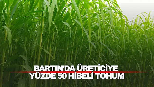 Üreticiye Yüzde 50 Hibeli Tohum