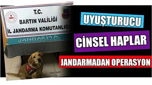 UYUŞTURUCU VE CİNSEL HAPLAR ELE GEÇİRİLDİ