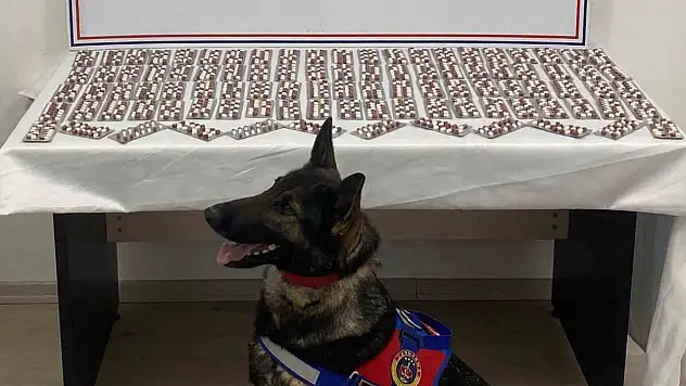 Uyuşturucuyla yakalanan şahıs utuklandı