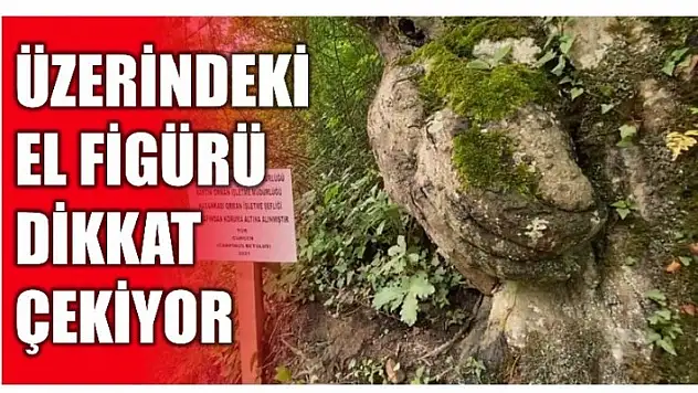 ÜZERİNDEKİ EL FİGÜRÜ DİKKAT ÇEKİYOR