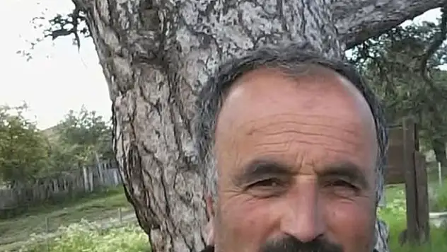 Üzerine ağaç devrilen vatandaş hayatını kaybetti